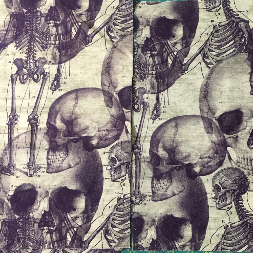 Halloween anatomy reusable mask w/ filter pocket